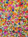 Wall of multicolored flowers