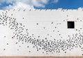 Wall mural, birds in flight