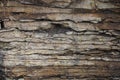 Wall of natural flagstone. Texture. Royalty Free Stock Photo