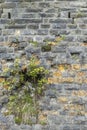 Wall near Sauris di sotto, Friuli-Venezia Giulia, Italy