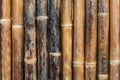 Wall of old bamboo covered with varnish. Texture. Background Royalty Free Stock Photo
