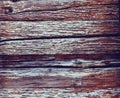 Wall of old cracked logs, eaten by bark beetle Royalty Free Stock Photo