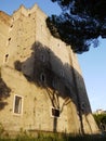 The Wall of an Old house with Shade of a Tree