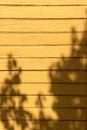 wall of old painted boards as a background, painted wood as a background in the spring sun 15 Royalty Free Stock Photo