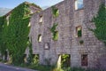 Wall of ruined building overgrown with green ivy. Montenegro, Risan town Royalty Free Stock Photo