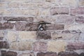 Wall of old stone blocks with a metal ring in the middle, background. Royalty Free Stock Photo