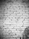 Wall of old white brick surface texture designer background Royalty Free Stock Photo
