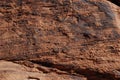 Wall of petroglyphs on red sandstone Royalty Free Stock Photo