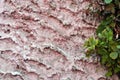 Wall with pink plaster imitating waves on water surface with green leaves of plant Royalty Free Stock Photo