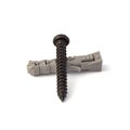 Wall plug or anchor isolated on white background. Royalty Free Stock Photo