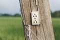 Wall plug on wooden pole Royalty Free Stock Photo