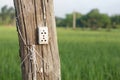 Wall plug on wooden pole Royalty Free Stock Photo