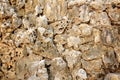 Wall porous rock Royalty Free Stock Photo