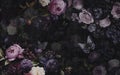 Wall Poster, Oil Painting of Different Kinds of Black Flower Arrangements, Butterflies in Dark Purple and Dark Black Shades