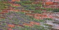 wall of red bricks and moss with dampness Royalty Free Stock Photo