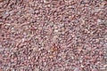 Wall of red granite gravel Royalty Free Stock Photo
