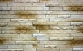 Wall of relief and smooth bricks of light brown color