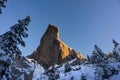 Wall of rock in winter close to Christmas Holiday with pine tree