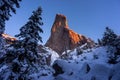 Wall of rock in winter close to Christmas Holiday with pine tree