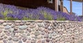Wall of rocks with lavender Oregon. Royalty Free Stock Photo