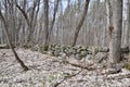 Wall of rocks next to tree trunks along hiking trail at Copeland Forest