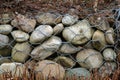 A wall of round stones held by metal mesh Royalty Free Stock Photo