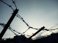 Barbed wire sunset gloomy Royalty Free Stock Photo