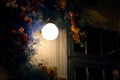 Wall sconce lantern by the backyard window exterior lighting.