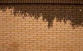 Wall with shadow For Background Or Texture. Tree Shadow On Red Brick Wall. Royalty Free Stock Photo