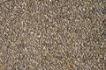 Wall of small stones texture. Pebbles and sand wall texture. Small stones wall background for design with copy space