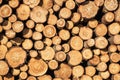 Wall of stacked wood logs Royalty Free Stock Photo
