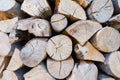 Wall of stacked wood logs as background Royalty Free Stock Photo