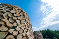 Wall of stacked wood logs as background Royalty Free Stock Photo