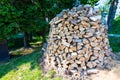 Wall of stacked wood logs as background Royalty Free Stock Photo