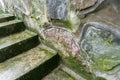 Wall and stone steps of stone overgrown with moss