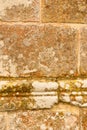 Wall stone texture of a cathedral Royalty Free Stock Photo