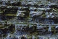 Wall stone uneven wet covered moss wall waterfall dark gray surface hard close-up background stone design base Royalty Free Stock Photo