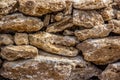 Wall of stones, shell rock texture Royalty Free Stock Photo