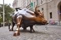 Wall Street Bull, Manhattan, New York City