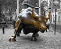 Wall Street Bull, Manhattan, NYC, NY Royalty Free Stock Photo