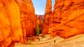 The Wall Street Hiking Trail through the Vermilion colored Pinnacles and Hoodoos in Bryce Canyon National Park