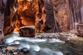 Wall street in the Narrows, Zion National Park, Utah Royalty Free Stock Photo