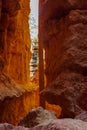 The Wall Street Trail in Bryce Canyon Ampitheater Royalty Free Stock Photo