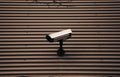 Wall surveillance camera