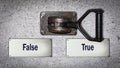 Wall Switch True versus False Royalty Free Stock Photo