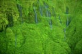 'Wall of Tears' waterfalls, Maui, Hawaii