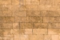 Wall texture bricks blocks of shell stone sea stone Royalty Free Stock Photo