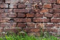 Wall texture of old burgundy brick on a background of grass Royalty Free Stock Photo