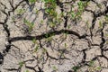 Wall texture soil dry crack pattern of drought lack of water of nature brown old broken background Royalty Free Stock Photo