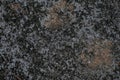 Grunge concrete wall texture moss stucco Royalty Free Stock Photo